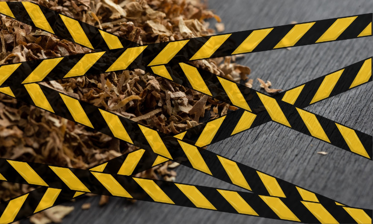 tabaco de liar por kilos