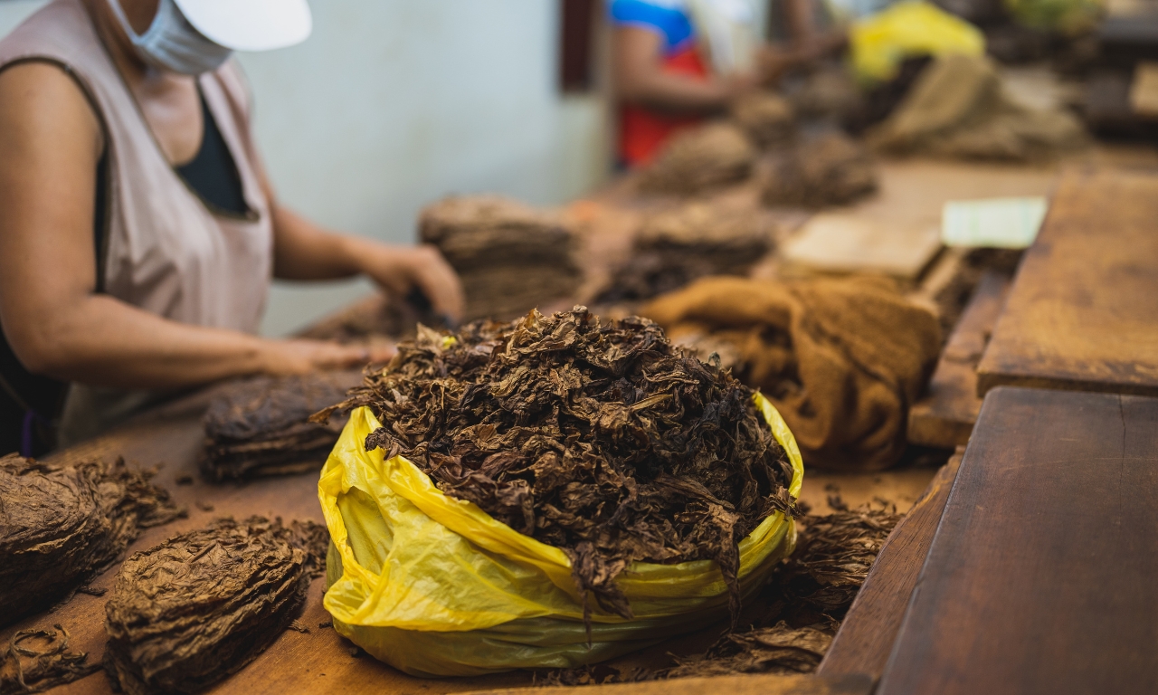 Almacenamiento correcto del tabaco por kilos: consejos prácticos